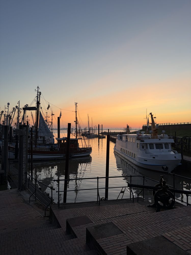 Morgenstimmung am Hafen